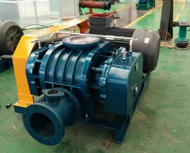 三葉羅茨鼓風(fēng)機(jī)廠家